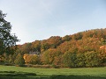 Maria Laach Surroundings